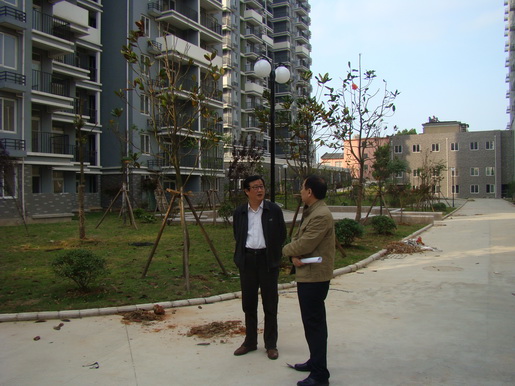 董事长调研城区老旧小区管道燃气配套工作